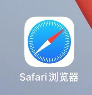 手机苹果浏览器高级显示选项