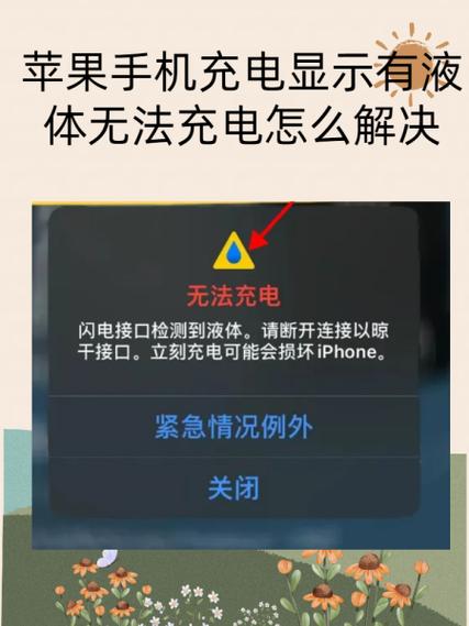 苹果手机充电充不进去