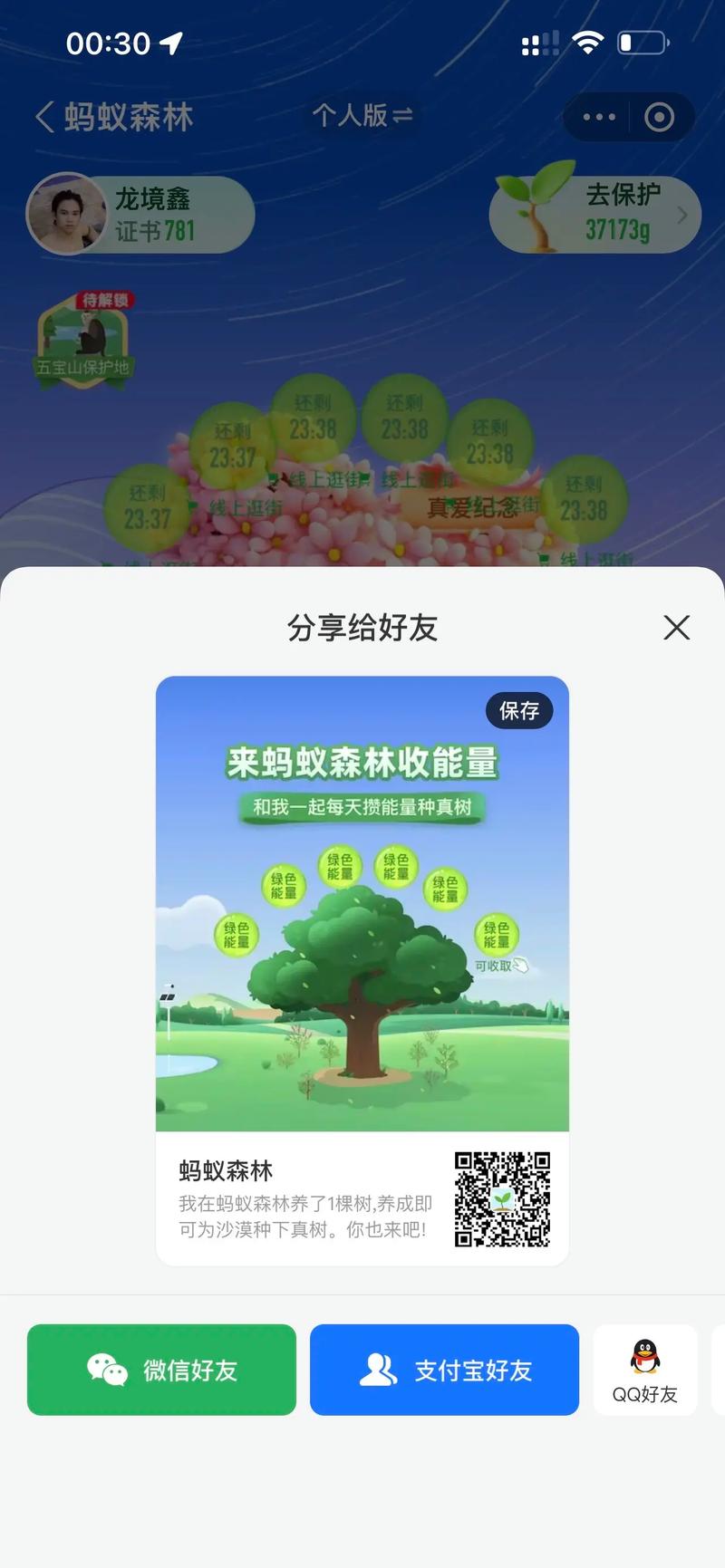 安卓蚂蚁森林自动