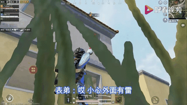 捏雷的时候 无法站起 和平精英截图1