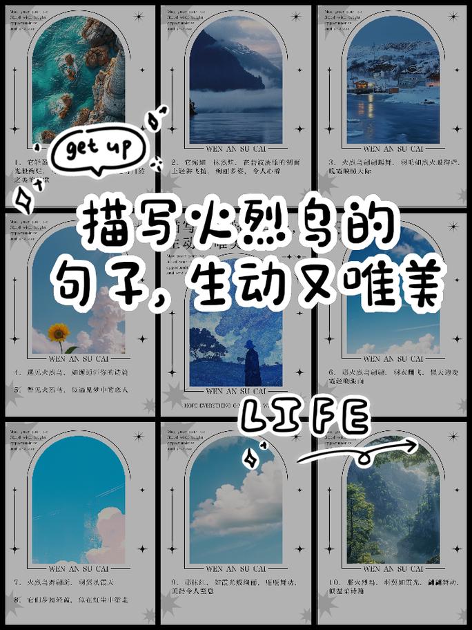 火鸟组句子
