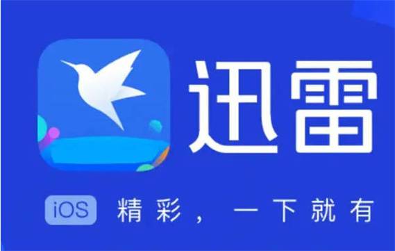 迅雷怎么下载东西
