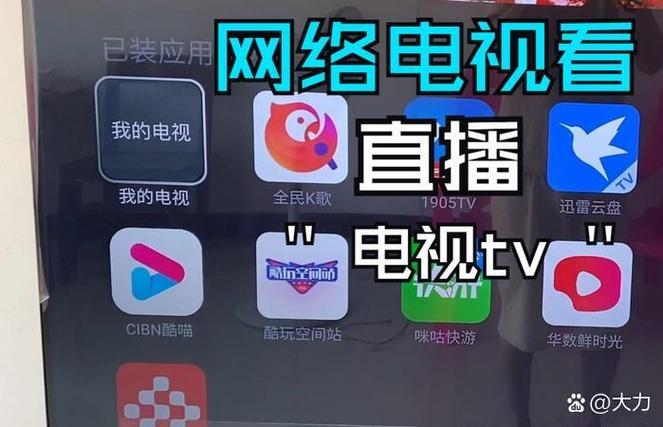 家里没网络怎么看电视截图3