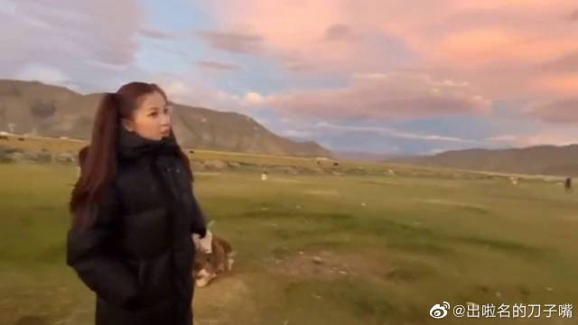 她千百度影院免费观看电视剧最新章