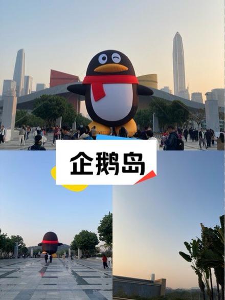 企鹅岛下载正版