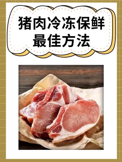 乘飞机托运冷冻猪肉