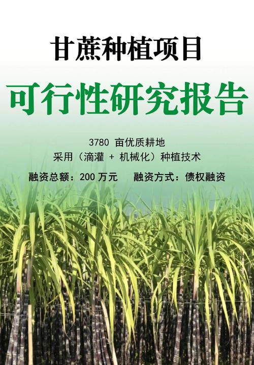 蔗亩产多少斤