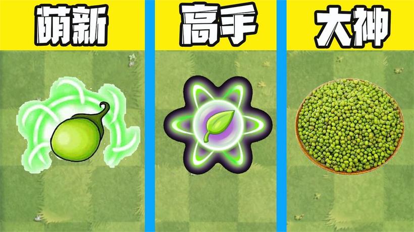 植物大战僵尸能量豆