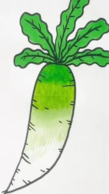 萝卜简笔画图片