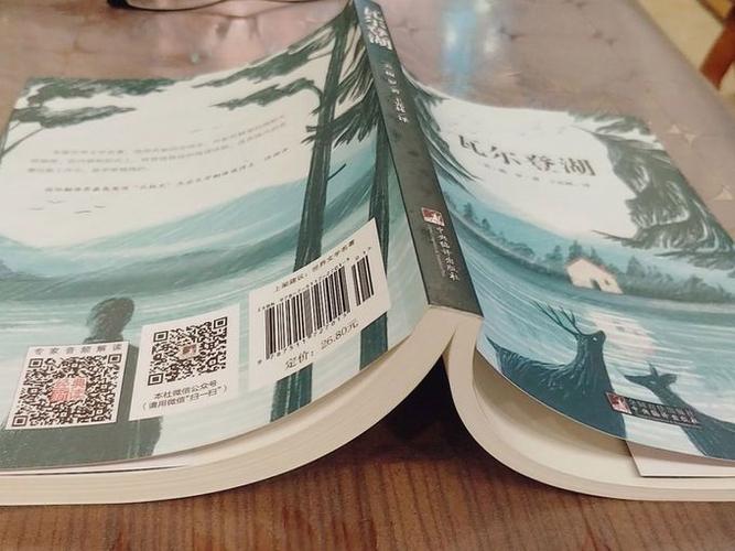 瓦尔登湖小说截图3