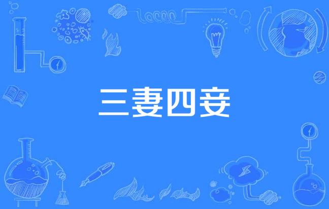 三妻四妾全集正版观看