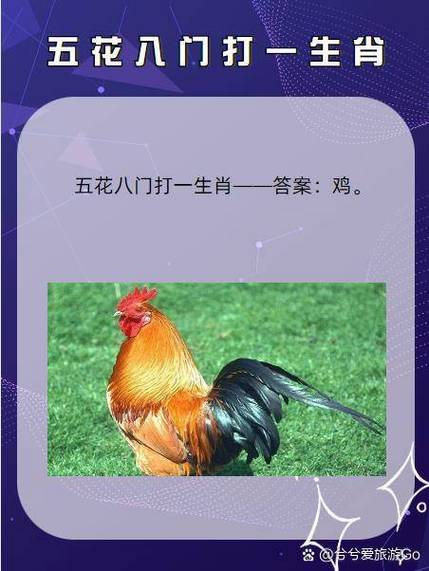 形影相随猜一生肖