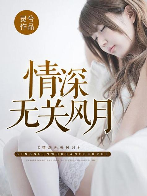坏坏猫免费阅读小说