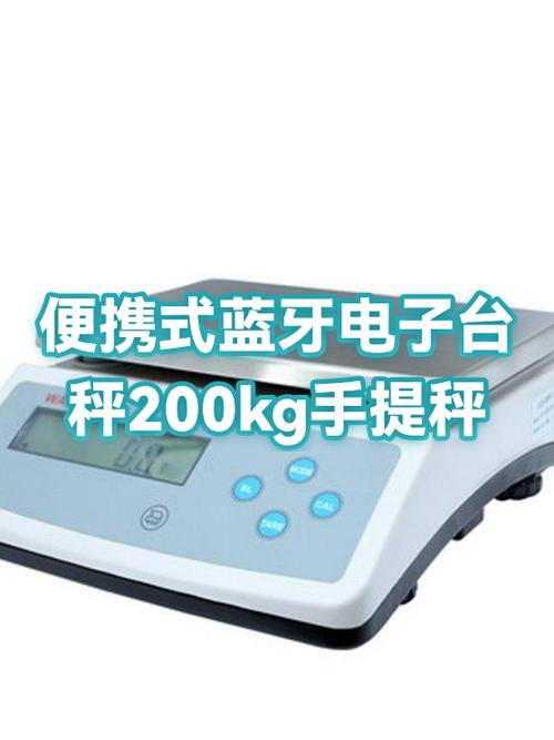 智能便携式电子手提秤