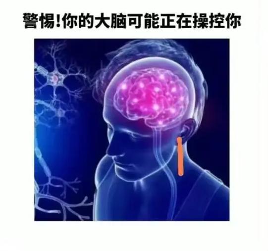 和大脑对话表情包