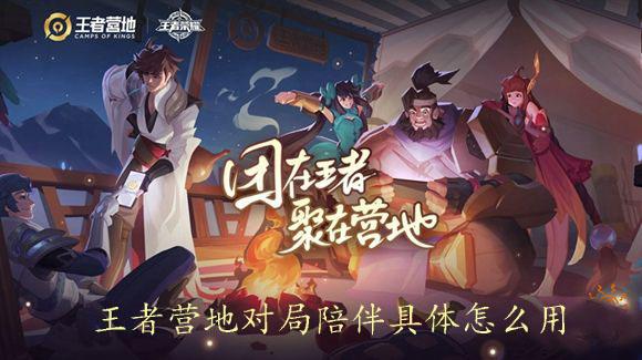 使用对局陪伴是什么意思