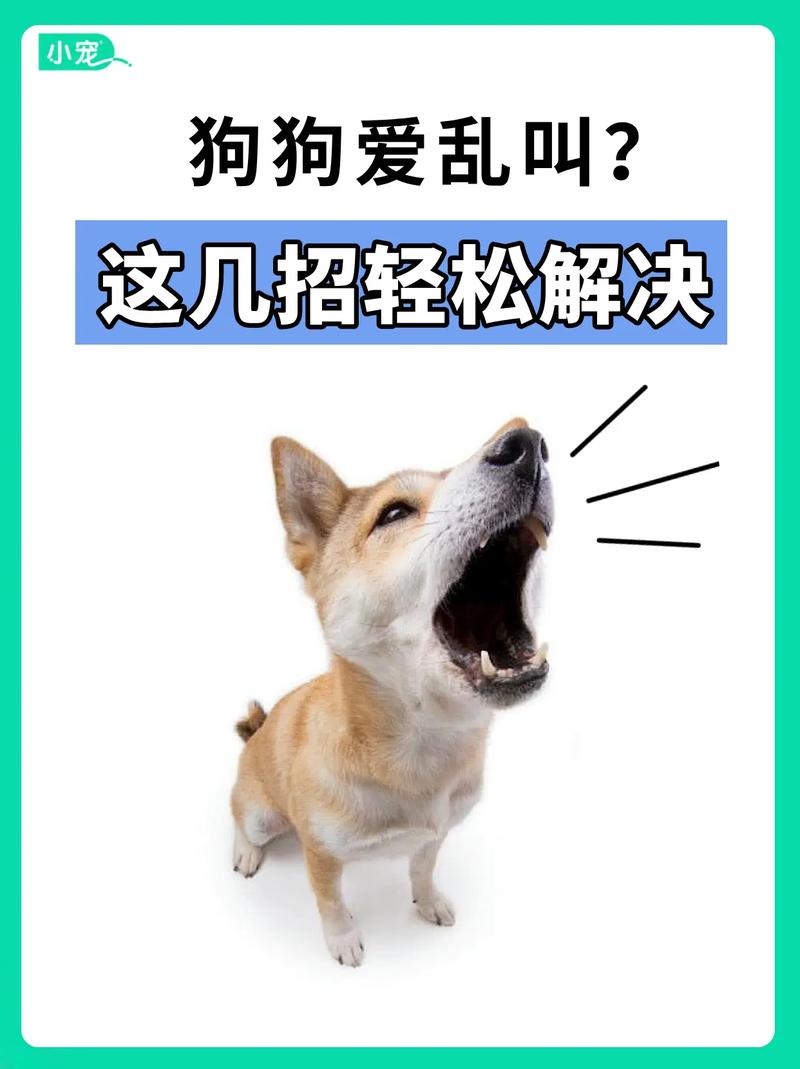 狗狗吵架的声音叫声