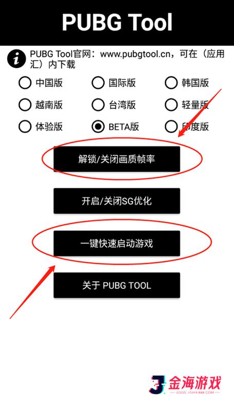 PUBG启动代码大全