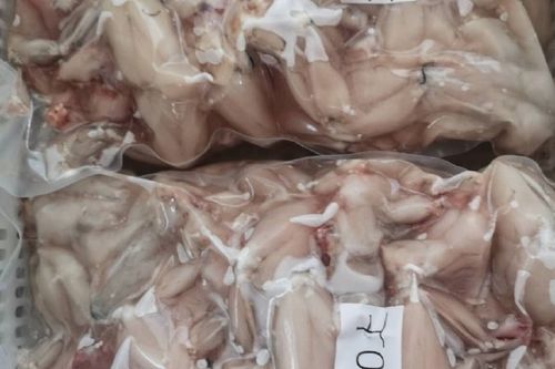 牛蛙肉多少钱一斤