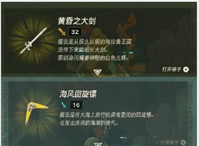 回旋镖之王