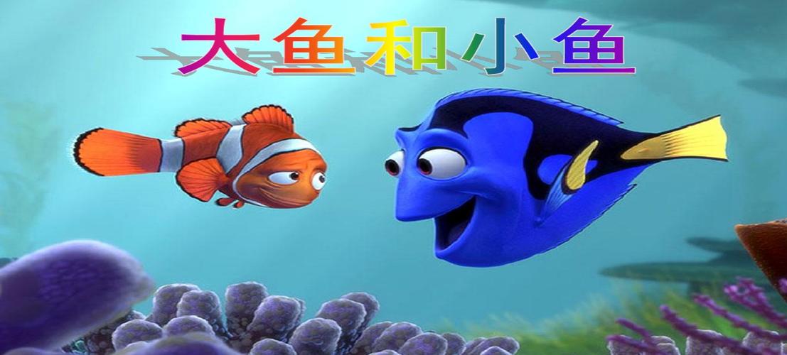 大鱼与小鱼的故事