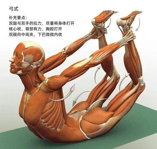 神意锻体术
