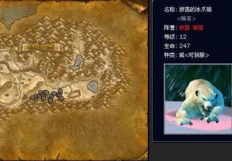 魔兽战斗宠物稀有排行