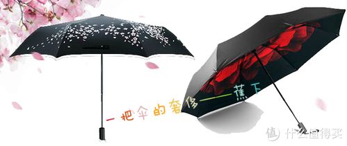 蕉下是什么档次的牌子