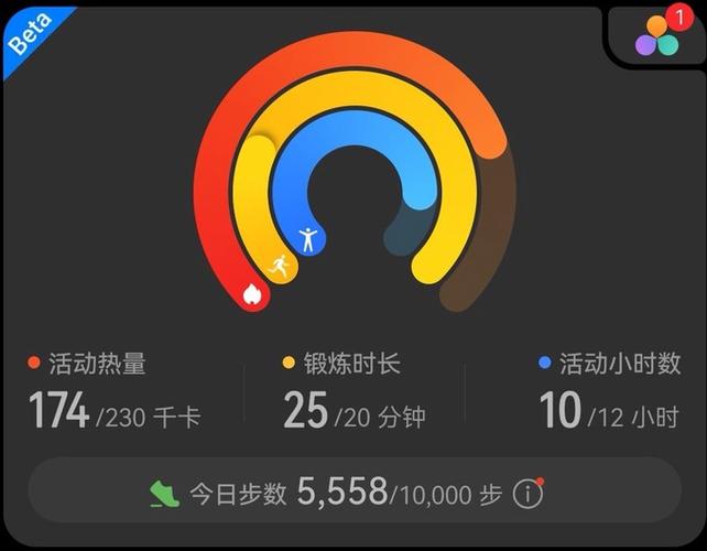 天天跳绳邀请码有哪些