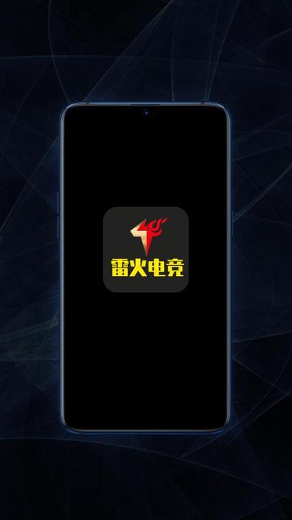雷火电竞APP客户端下载