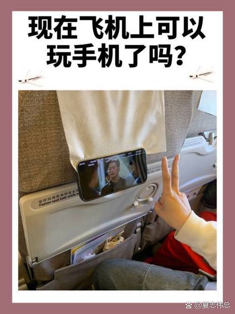 飞机上太无聊能干嘛截图1
