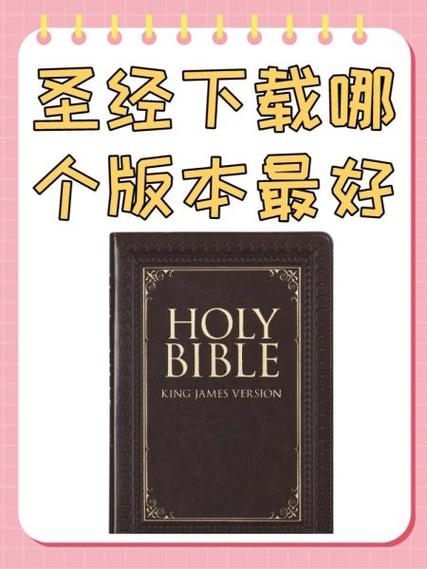 精读圣经3.1.3版本官网