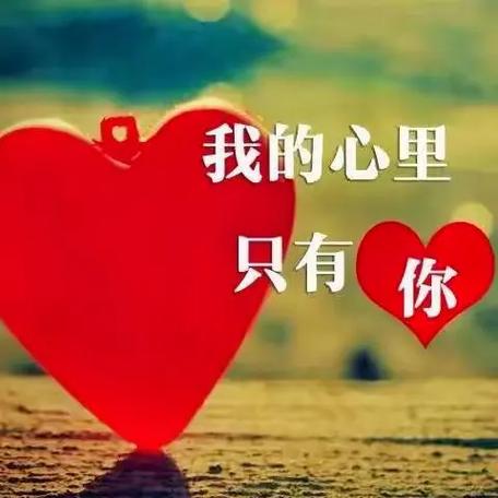 心连心交友