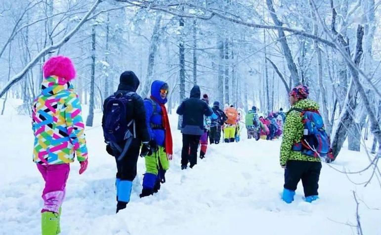 泰拉瑞亚雪原环境放哪两个