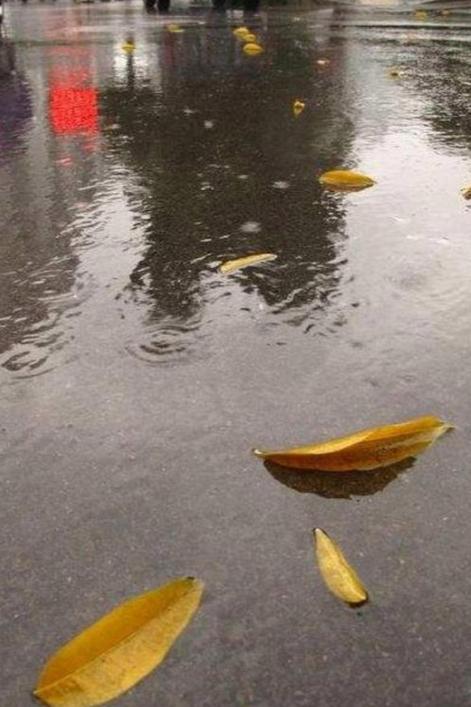 周冬雨代言的手机广告