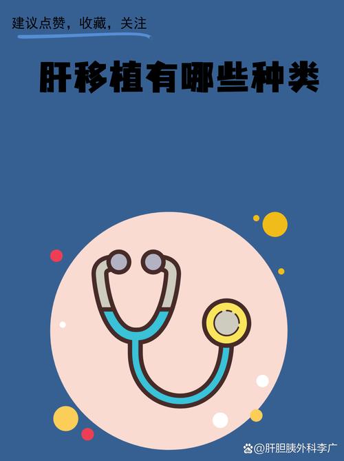 素晴日移植手机直装版
