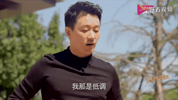 高手一般不出手,下一句
