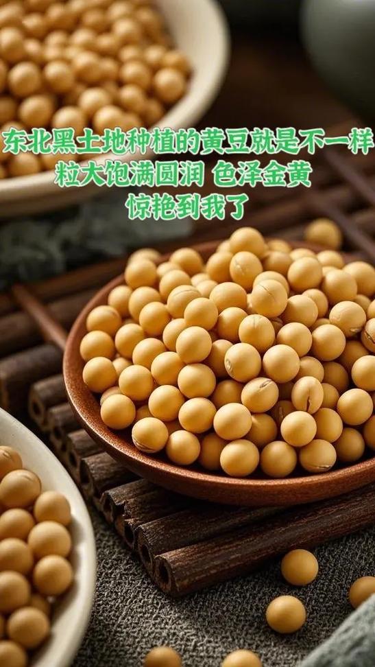 黄豆化为灰烬表情包