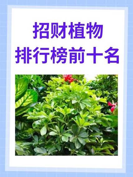 动动你的发财手顺口溜