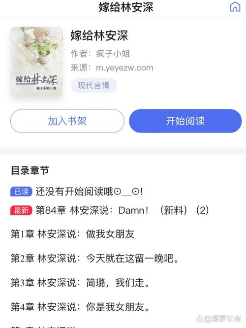 嫁给林安深三部曲怎么看