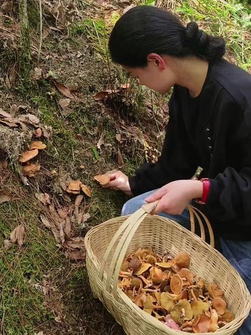 捡菌子的幽默说说简短截图2
