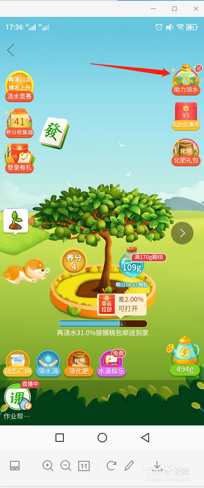 拼多多果园兑换12元现金券