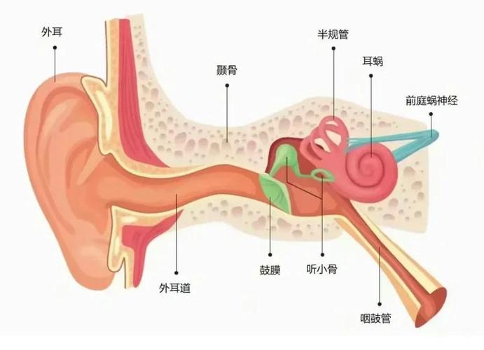 如何让对方听到你的声音