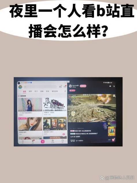哔哩哔哩tv版看直播