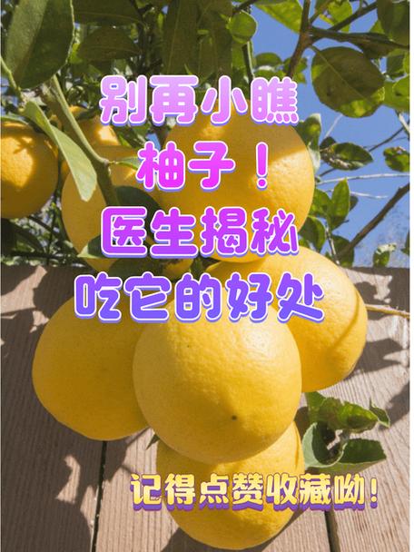 柚子应该怎么吃