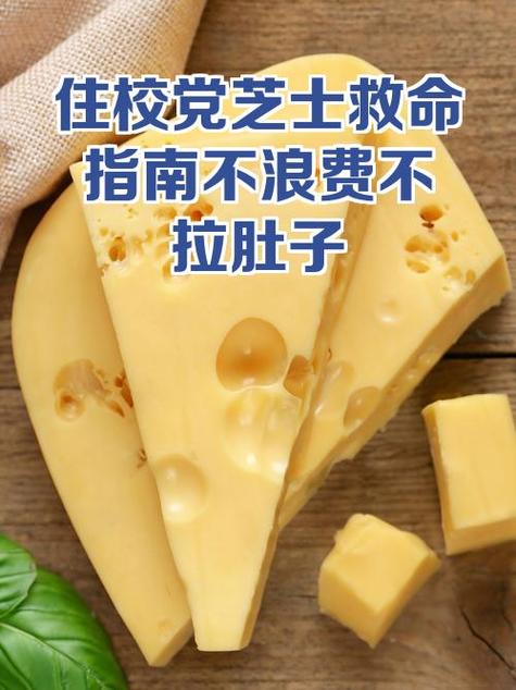 芝士不冷冻可以放多久