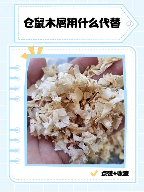仓鼠木屑可以用棉花代替吗