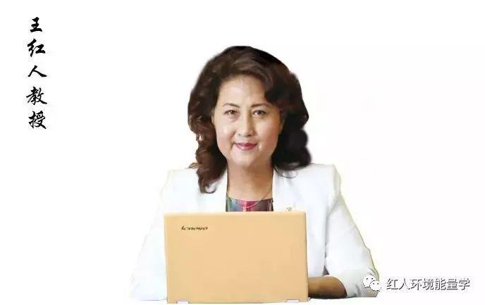 王红人环境能量全集