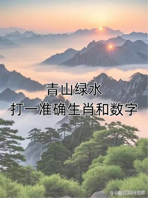 行高坐高正确打一个生肖前瞻版截图3