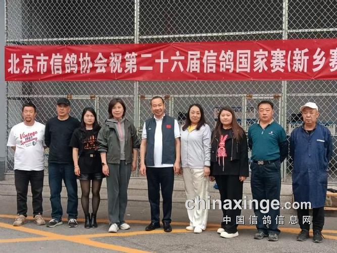 各地鸽会比赛图标
